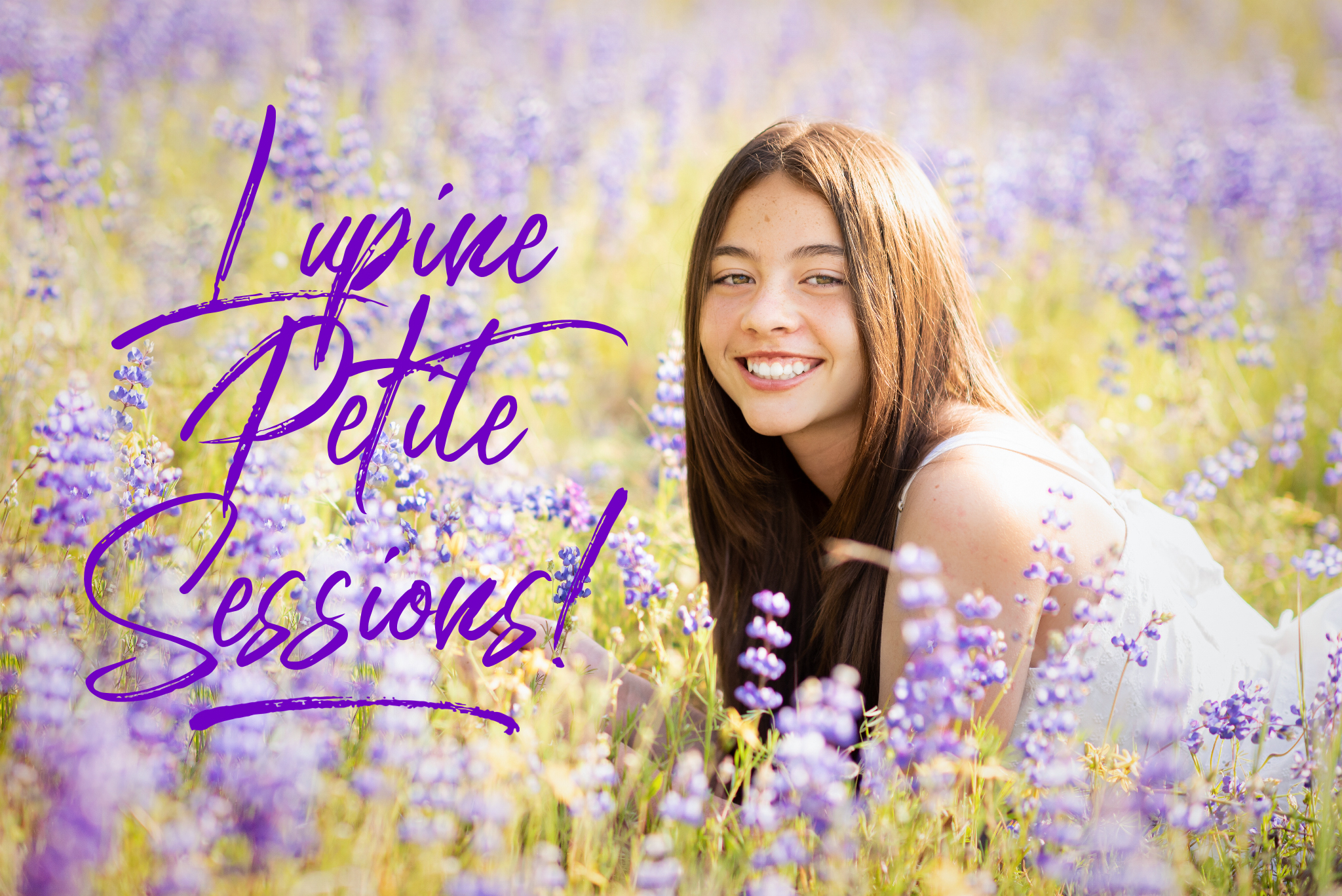 A girl sits in a Lupine field in El Dorado Hills for a photoshoot