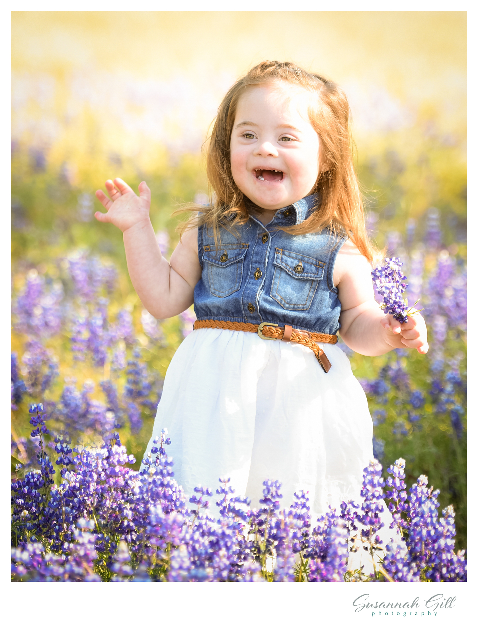 A little girl plays in a field of Lupin for a photoshoot in El Dorado Hills at Folsom Lake